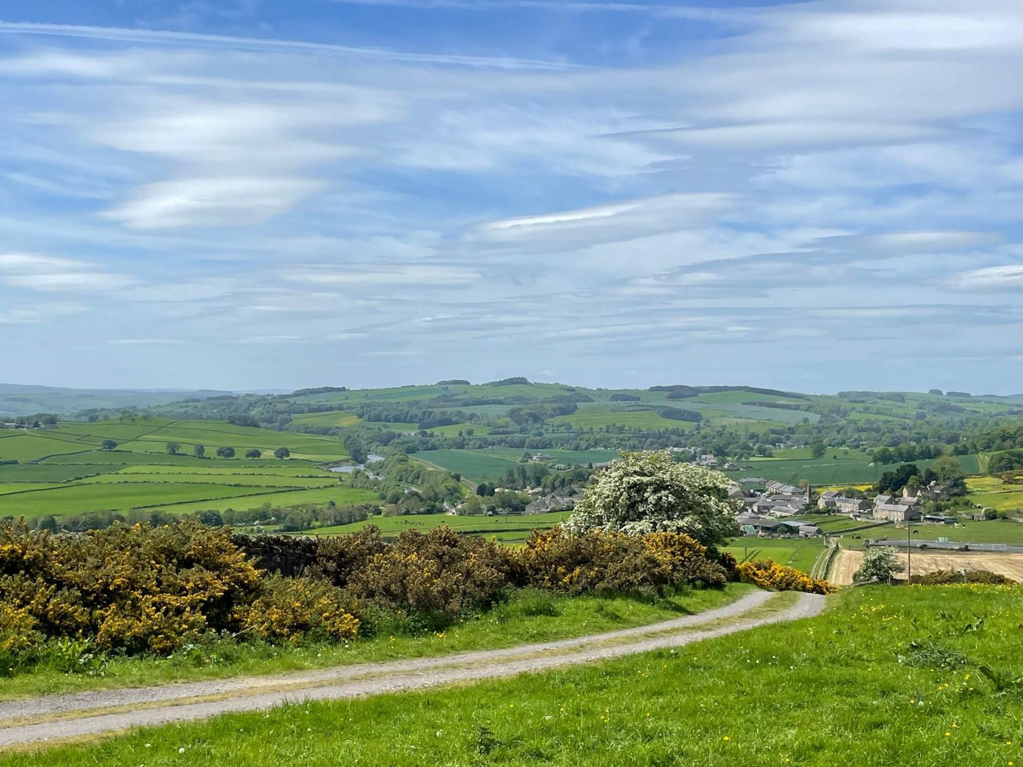 Stay On The Hill - Self Catered Cottages Laverick And Bothy Hexham Kültér fotó